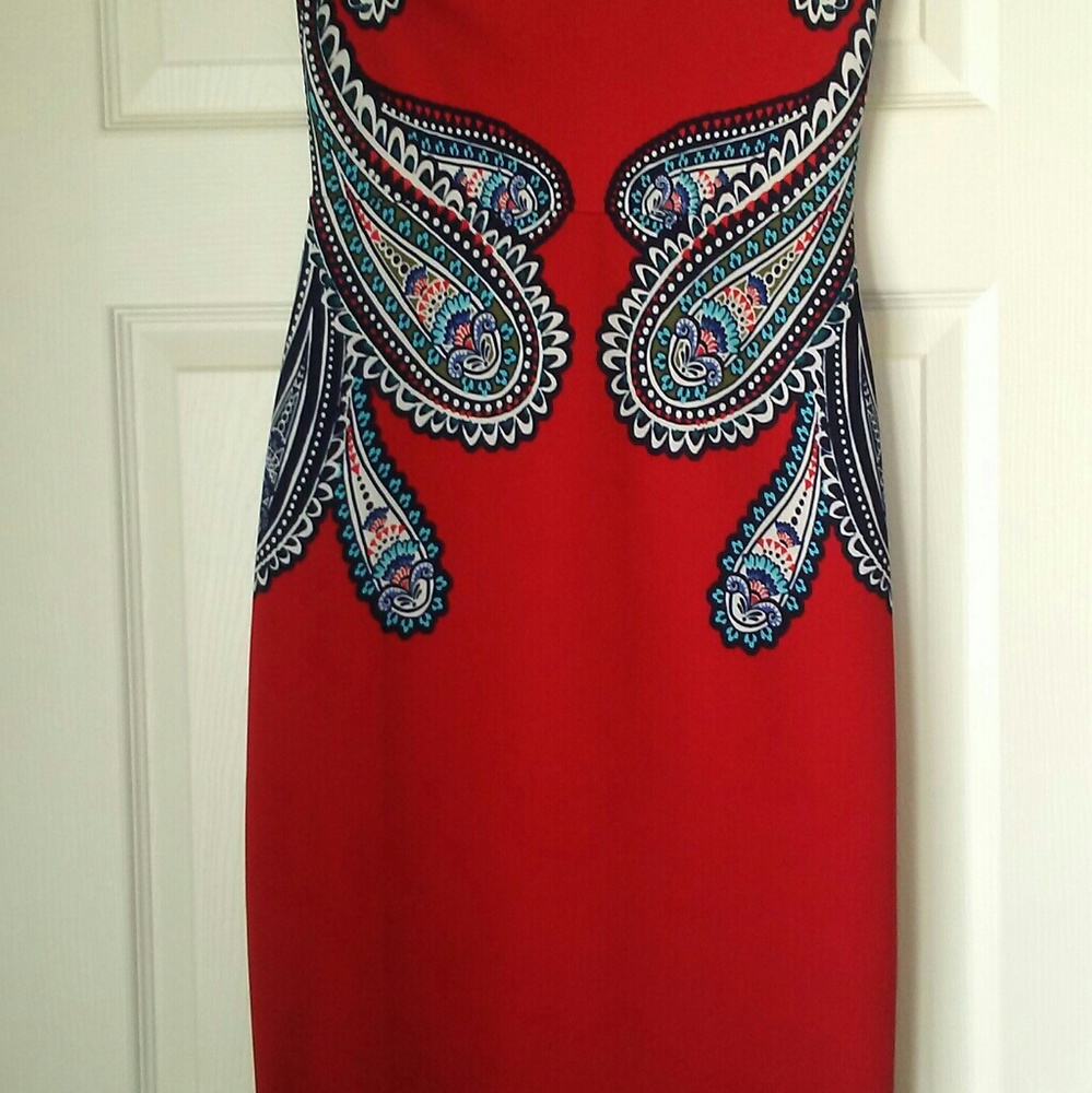 Express Strapless Red Peacock Dress